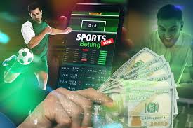 Everything You Need to Know About Betwinner -605227481